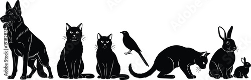 Collection of detailed black domestic pet animal silhouettes including dog cats bird and rabbits isolated on a clean white background.