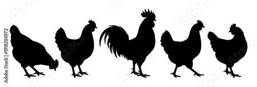 Rooster and hen silhouette set in farm style