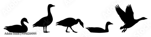 Goose silhouette set with flying and standing bird