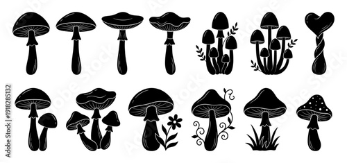 Mushroom silhouette set with forest fungi collection