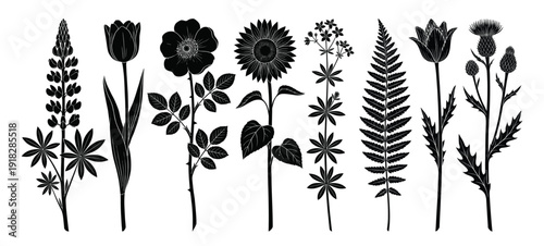 Botanical flower silhouette set with sunflower rose and fern