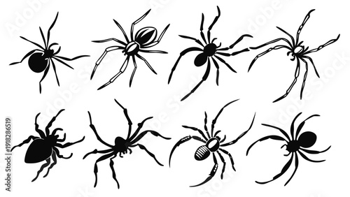 Set of Eight Black Spider Silhouettes in Various Poses