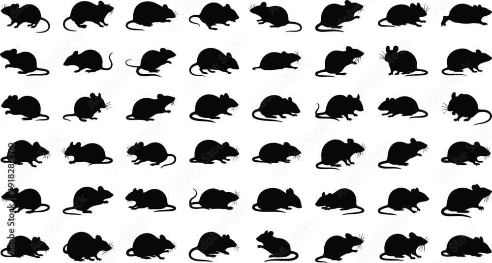 Fototapeta premium Icon set of 40 black mouse silhouettes in diverse poses and orientations for animal, biology, and design visuals
