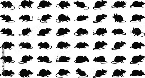 Icon set of 40 black mouse silhouettes in diverse poses and orientations for animal, biology, and design visuals