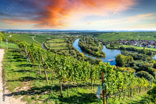 Mainschleife, Weinberge, Vo...