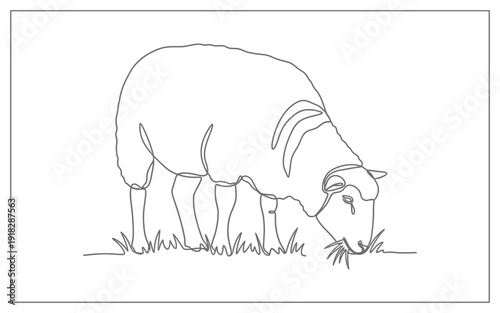 Grazing Sheep Continuous Line Art Drawing, Minimalist Farm Animal Grazing on Grass Vector Illustration