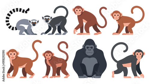 Collection of various primates depicted in a flat design illustration style, showcasing different monkey species and a gorilla from a straightforward viewpoint