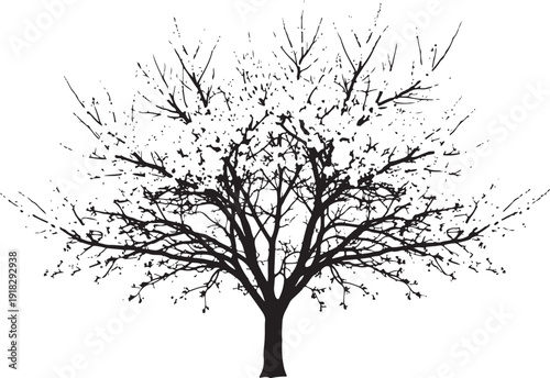 Bare winter tree silhouette with intricate branches reaching skyward, representing dormancy, starkness, and resilience.