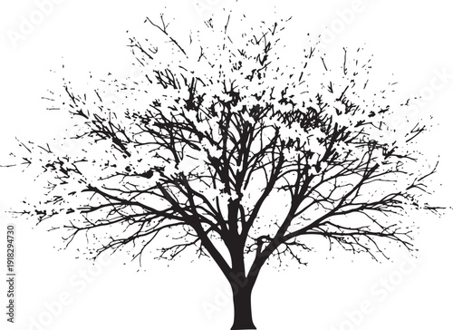 Striking black silhouette of a mature tree with intricate, bare branches against a white background.