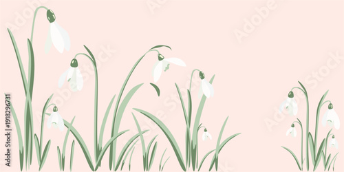 Hand drawn seamless vector frame, border, pattern with spring flowers, snowdrops, botanical floral pattern for fabric, wallpaper and decorative design, kids room, kitchen.