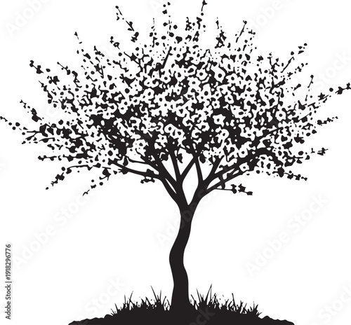 Silhouette of a mature tree with abundant small flowers and grass at its base, suggesting a lush, vibrant landscape.