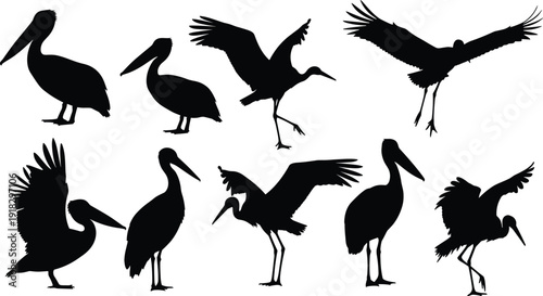 Bird silhouette illustration set, waterfowl heron crane artwork, pelican vector design, ornithology graphic concept, flying standing posture motif