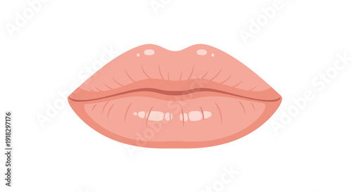 Beautiful Female Lips Closeup.
