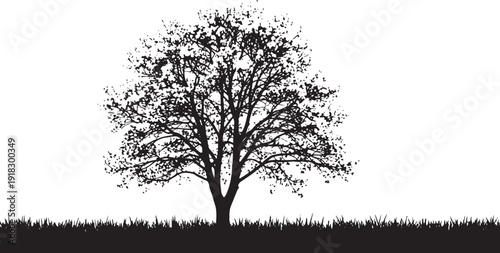 Silhouette of a solitary tree with textured leaves standing on a black grass line, creating a simple yet evocative landscape.