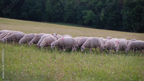 waterfall, vegetation, greenery, foliage, flowers, moss, cascade, yellow, flora, nature, habitat, woodland, biodiversity, arch, landscape, ecosystem, fern, closeup, tropical, scenic, stone, stream, we