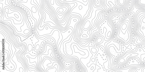 Vector geographic contour mounted map background.The stylized height of the topographic map contour in lines and contours isolated on transparent.

