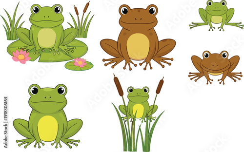 Cute frog cartoon vector collection with green and brown amphibian characters in pond nature illustration set