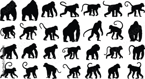 Comprehensive collection of black gorilla and monkey silhouettes in various walking and standing poses, isolated on a white background for vector graphic design.