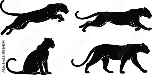Detailed black silhouettes of a powerful panther or leopard in various action poses including leaping, running, walking, and sitting, isolated on white background.