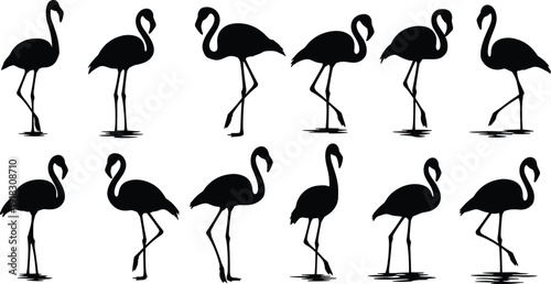 Detailed collection of black flamingo silhouettes in various standing and wading poses, isolated on a white background for tropical nature vector graphic design.