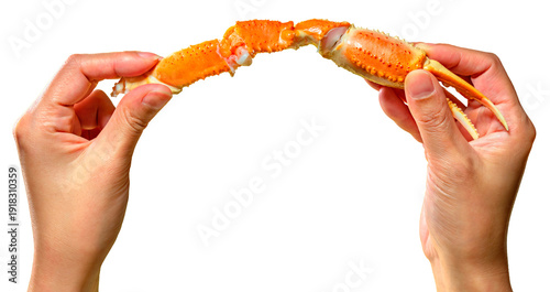 Authentic Japanese hands present a succulent, boiled red king crab leg against a transparent screen for easy editing, capturing the high-quality essence of luxury seafood for commercial branding.