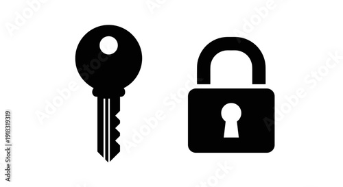 Key and lock security symbol icons.
