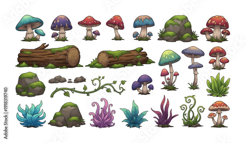 Colorful Mushrooms and Forest Fungi Illustrations.