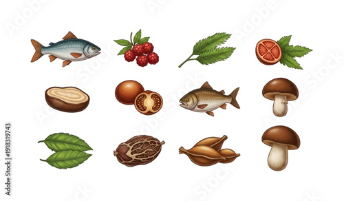 Collection of Fungi and Seafood Illustrations.