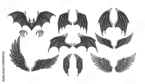 Black Bat and Angel Wing Illustrations.