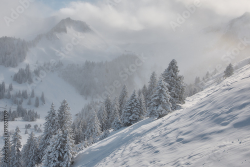Snowy alpine mountains with mist and pine forest, Stoos