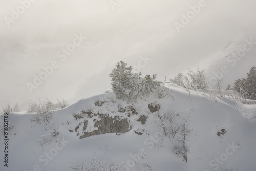 Snow covered alpine hill in soft winter light, Stoos