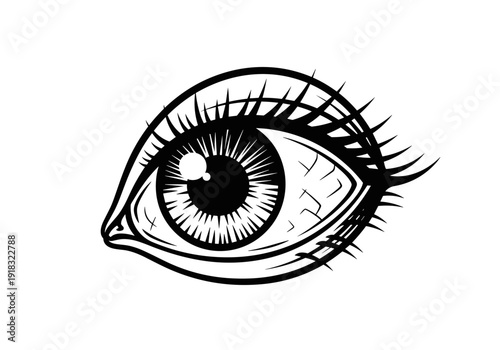 Detailed human eye with long eyelashes in black and white.