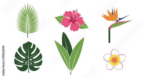 Tropical leaves and flowers illustration set exotic plants with palm frond monstera leaf hibiscus bird of paradise and plumeria on white background for decoration and design