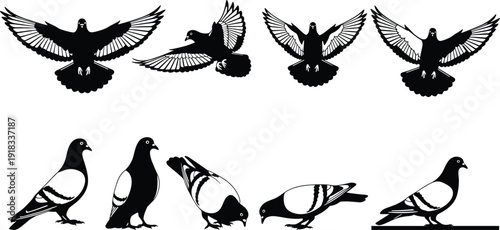 Black pigeon silhouette set, flying dove vector, bird carrier illustration, peace symbol graphics, park birds, urban wildlife, isolated on white,