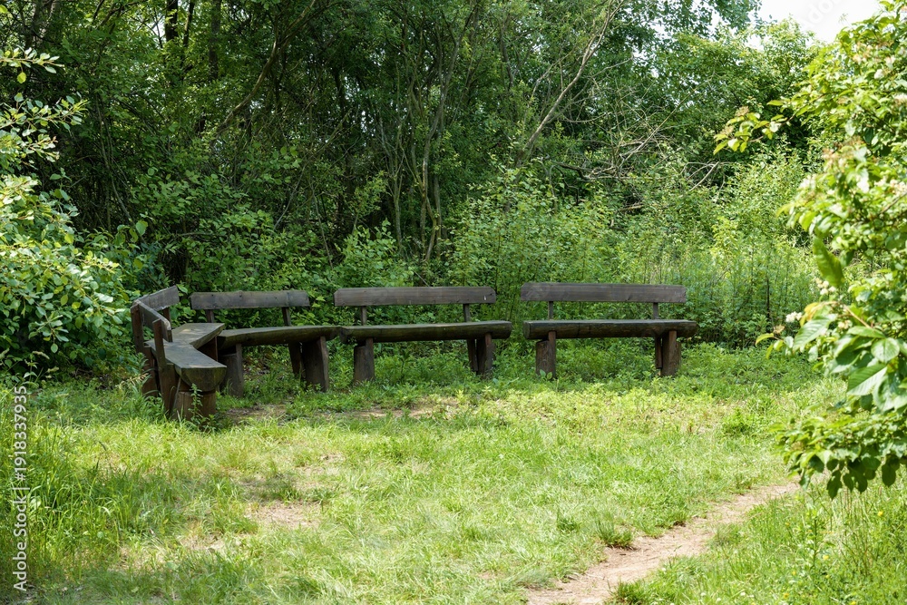 Fototapeta premium Nooks with benches made of logs and a path.