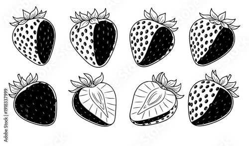 Botanical strawberry hand drawn vector set