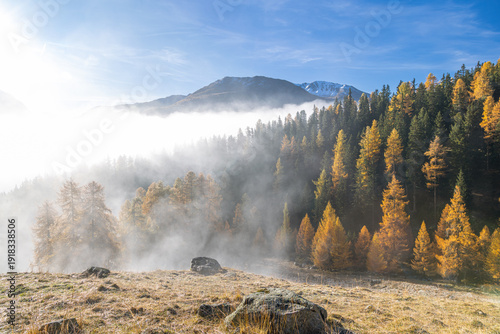 Sonnenaufgang mit Nebel
