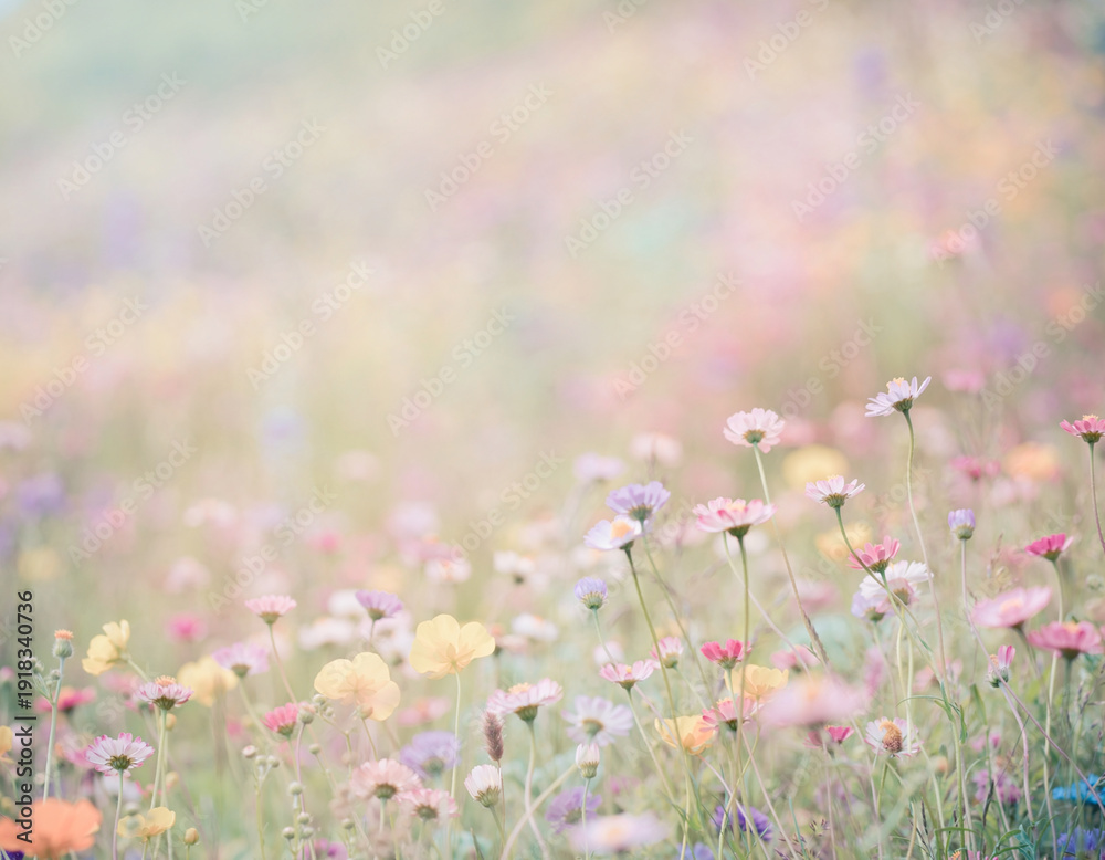 Obraz premium Soft Pastel Wildflower Meadow Background with Blooming Spring Flowers