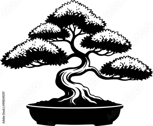 Bonsai tree black icon on white background. Potted bonsai silhouette. Isolated vector illustration. Front view
