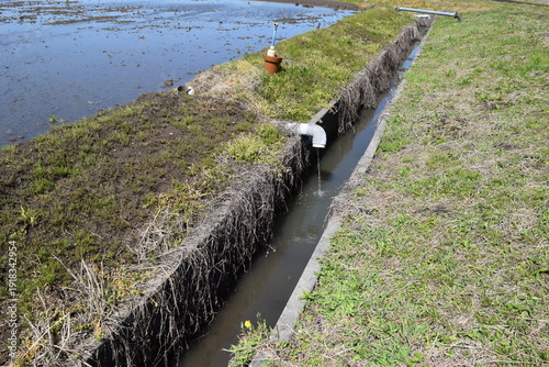 Cuadro en lienzo 農業用水路兼排水路 茨城県南部