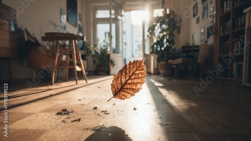 Wallpaper Mural A sunlit interior showcases a leaf suspended mid-air, casting shadows on the wooden floor Torontodigital.ca