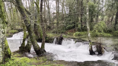 Panoramic video of a small waterfall in a river in a forest on a rainy, cold and foggy day in the middle of winter