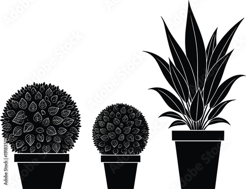 Set of potted plant silhouettes, decorative indoor boxwood shrubs and tall leafed houseplant in pots, garden botanical greenery vector icons,