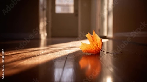 Wallpaper Mural Warm sunlight illuminates a fallen maple leaf on a glossy wooden floor, interior Torontodigital.ca