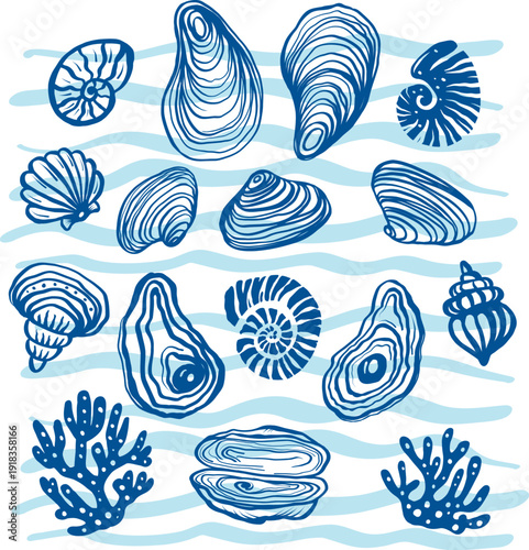 Decorative sea shells set hand drawn coastal vector elements