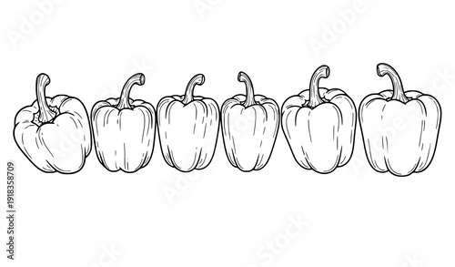Monochrome bell pepper hand drawn vector illustration