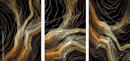  Elegant wood texture with golden rings and organic patterns. Luxury tree bark background perfect for sophisticated design projects and premium invitations.