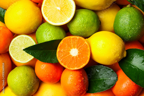 Obraz na plátně Different ripe citrus fruits and leaves with water drops as background, top view
