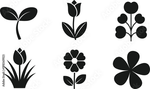 Collection of six different plant silhouettes on white background