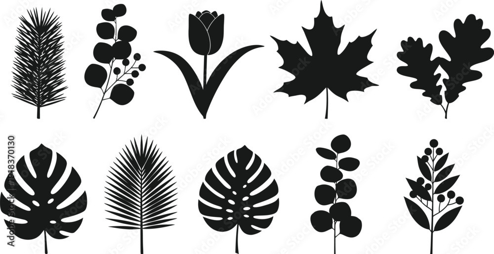 Fototapeta premium Collection of various leaf and plant silhouettes